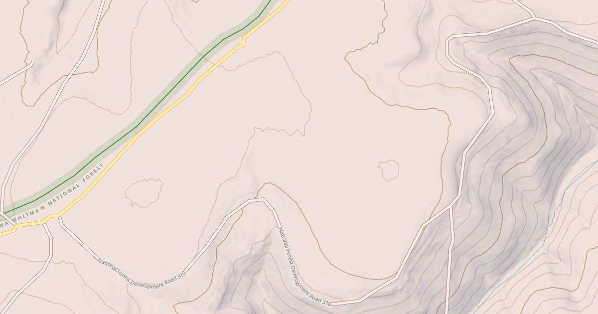 Map preview of USFS National Forest System Roads {06770FFA-B752-4A57-8B11-0F628732A853}