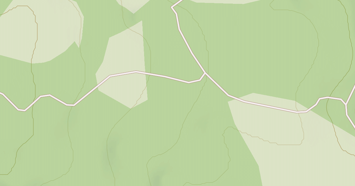 Map preview of USFS Motor Vehicle Use Map Roads {366D527B-B911-4CE5-A413-7DB9ECB339A6}