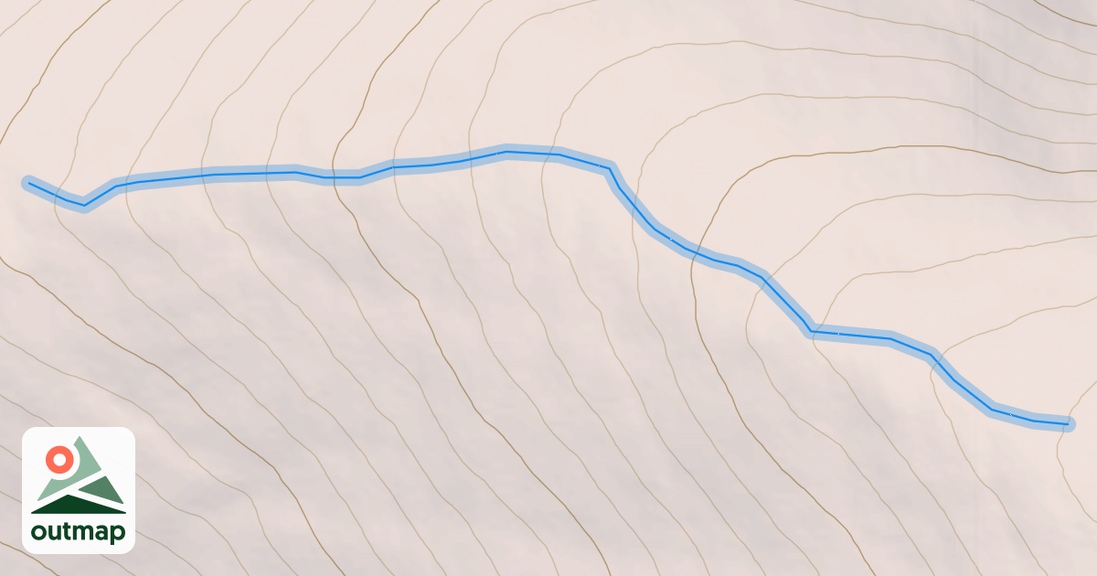 Map of Lost Bear