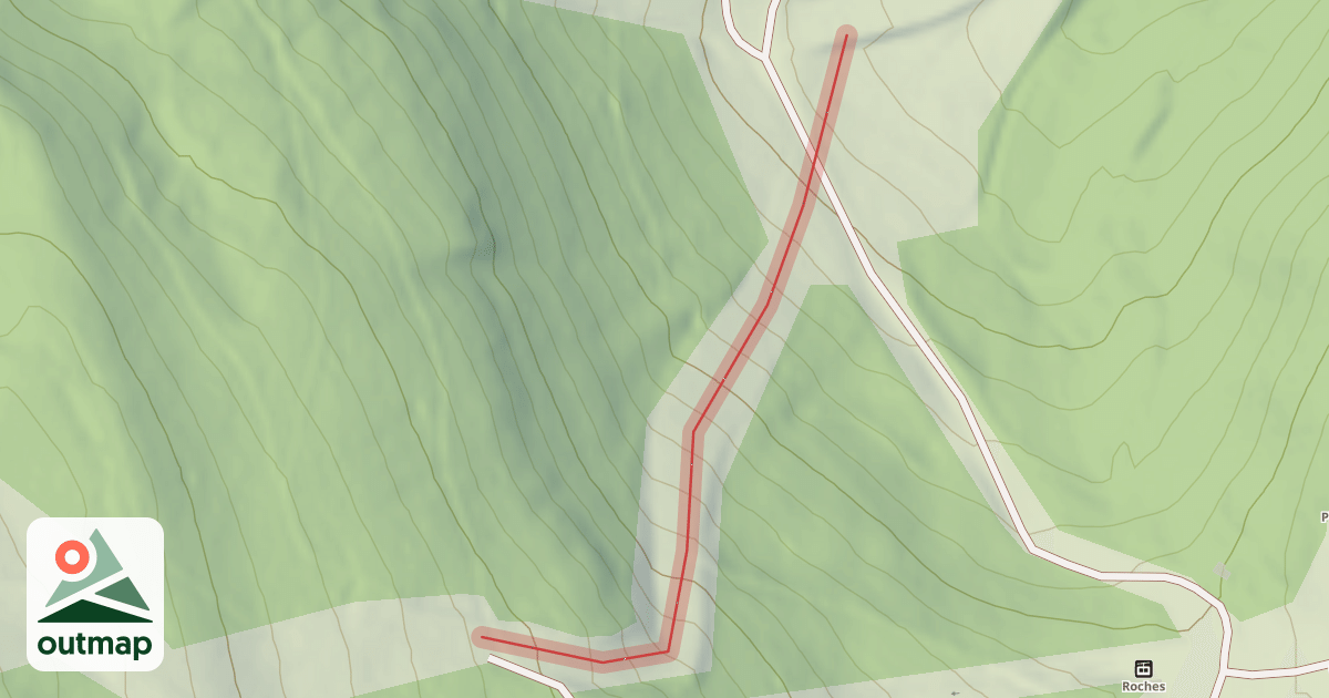 Map of Competition