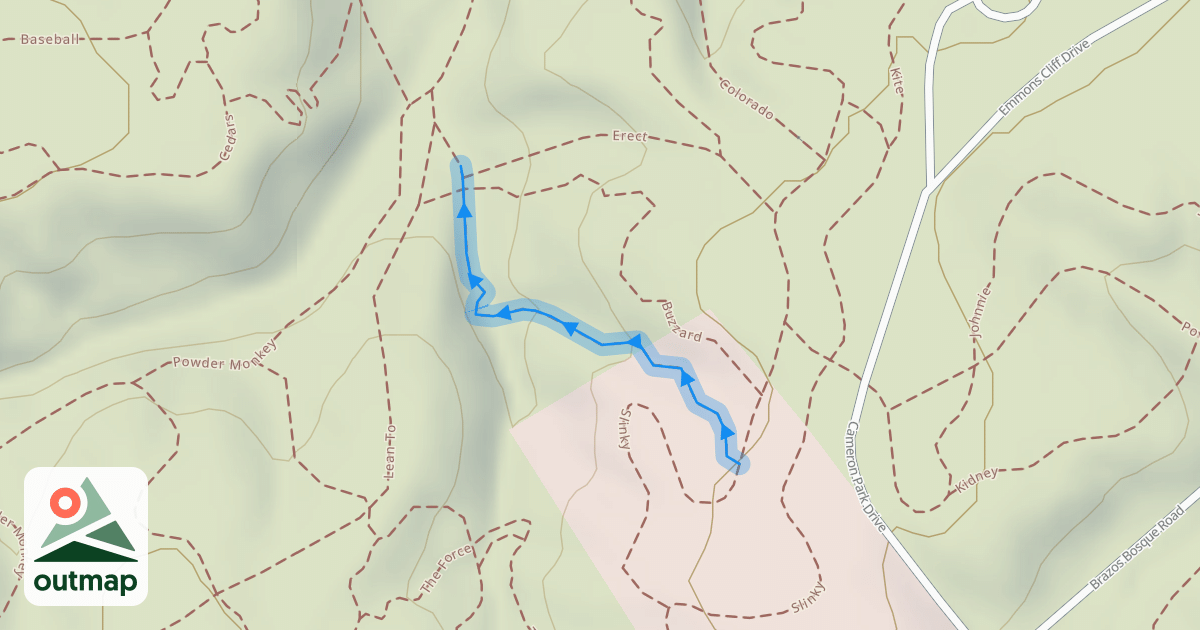 Map of Vortex
