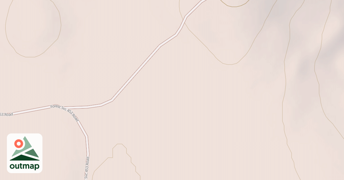 Map of USFS National Forest System Roads {1C3E51D4-97AD-4A1F-9A80-D817566A3D34}