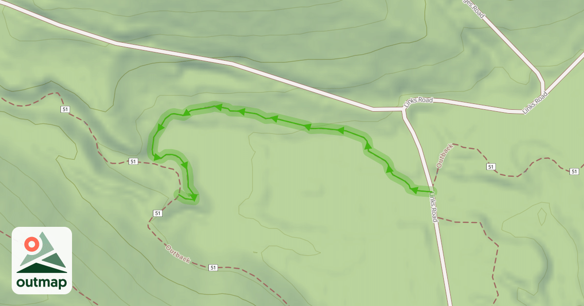Map of Chainlink