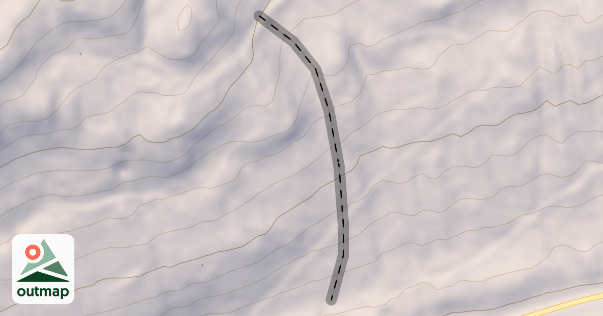 Map of Teddy Bear