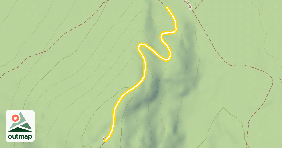 Map of Cobble Hill