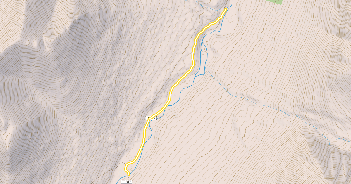 Map preview of Resurrection Pass Trail