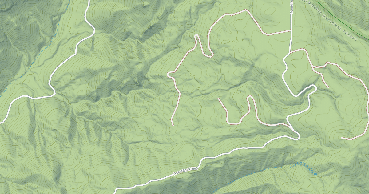 Map preview of USFS National Forest System Roads {C0330C35-3C1D-4156-AD0E-88DD37D7A3B9}