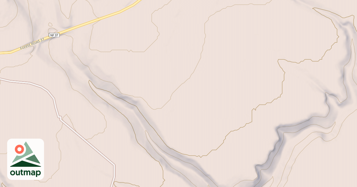 Map of USFS National Forest System Roads {137E3A81-4687-424A-952C-E3FB3E1F570E}