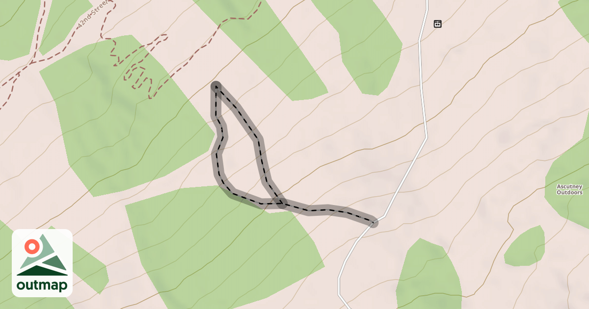Map of The Face