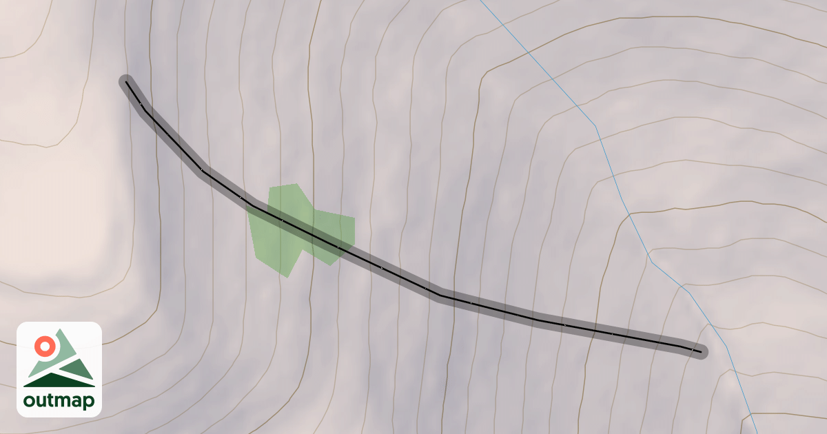 Map of Milt's Face
