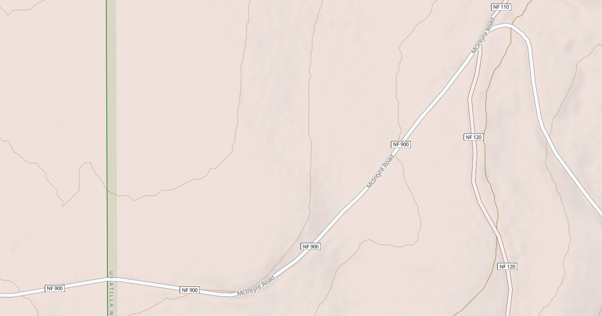Map preview of USFS Motor Vehicle Use Map Roads {9499C965-0AA5-40D3-BDC2-94746538B074}