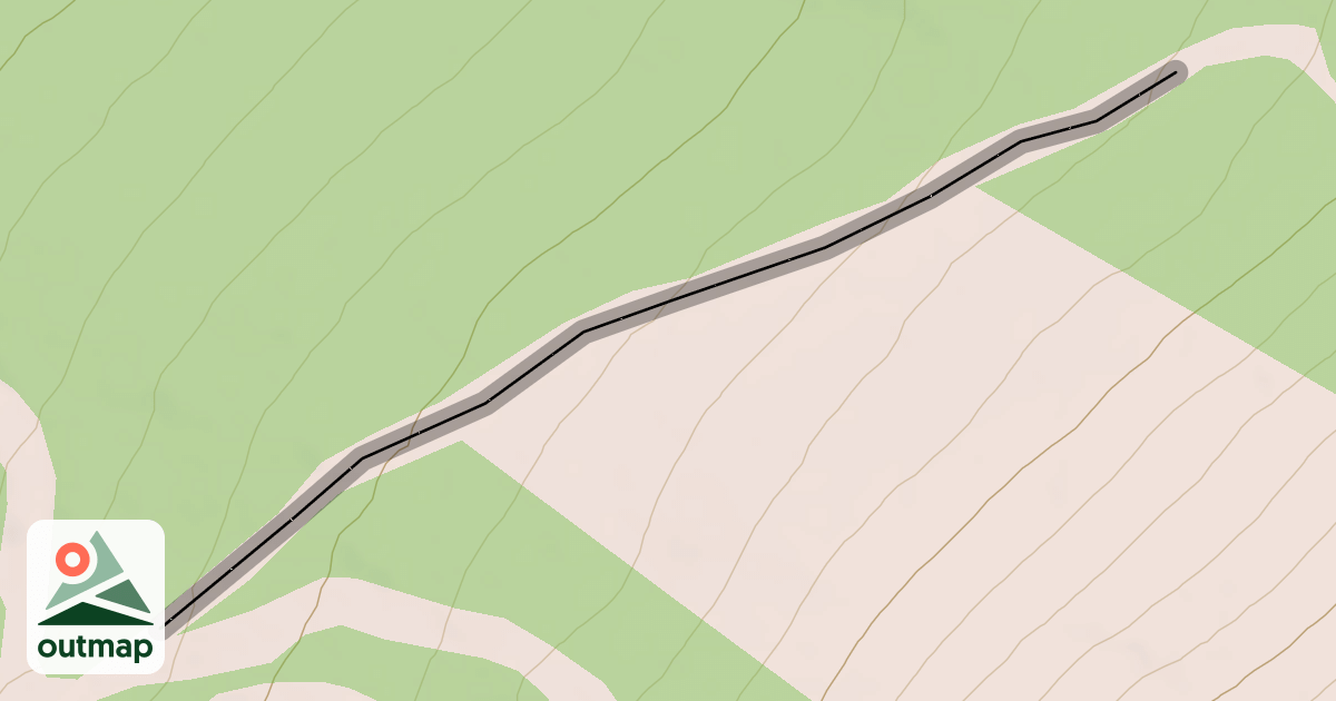 Map of Nymph