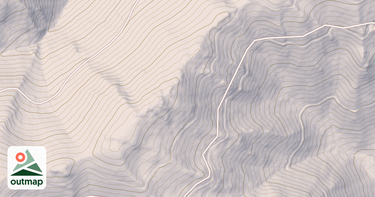 Map of NELSON
