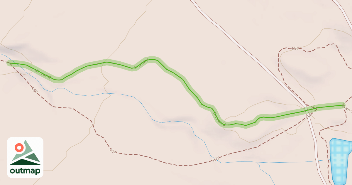 Map of Bluebird