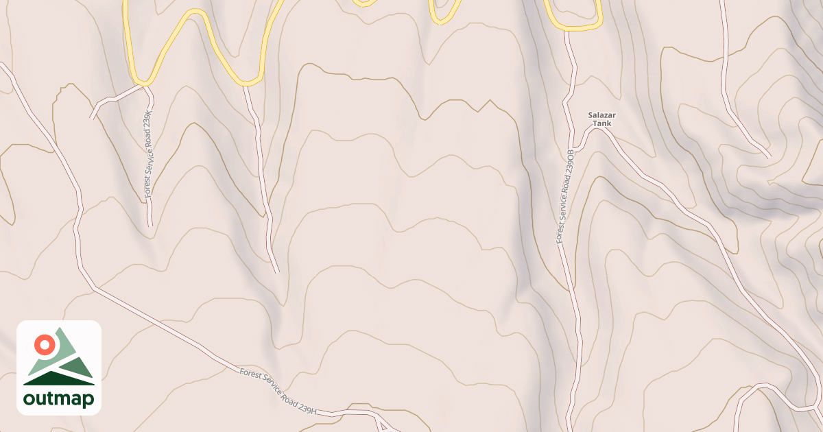 Map of USFS National Forest System Roads {4B545395-75C8-4FB0-8B5E-A6BC7AC2FEDE}