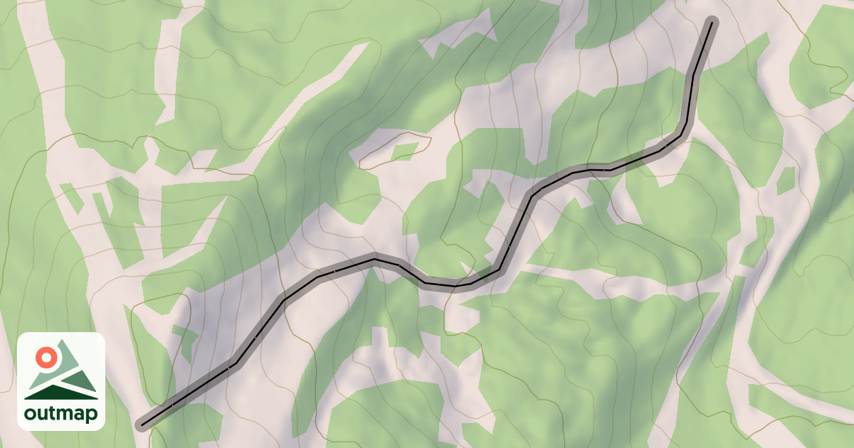 Map of Moonshine