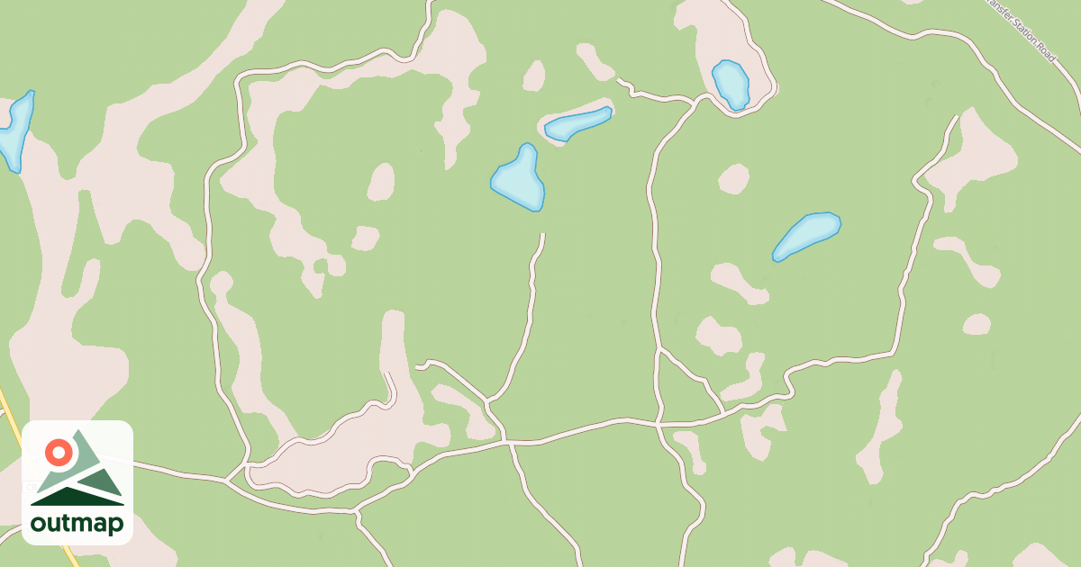 Map of USFS National Forest System Roads {0F8382D0-2F46-4826-BE98-E9C013F963E4}