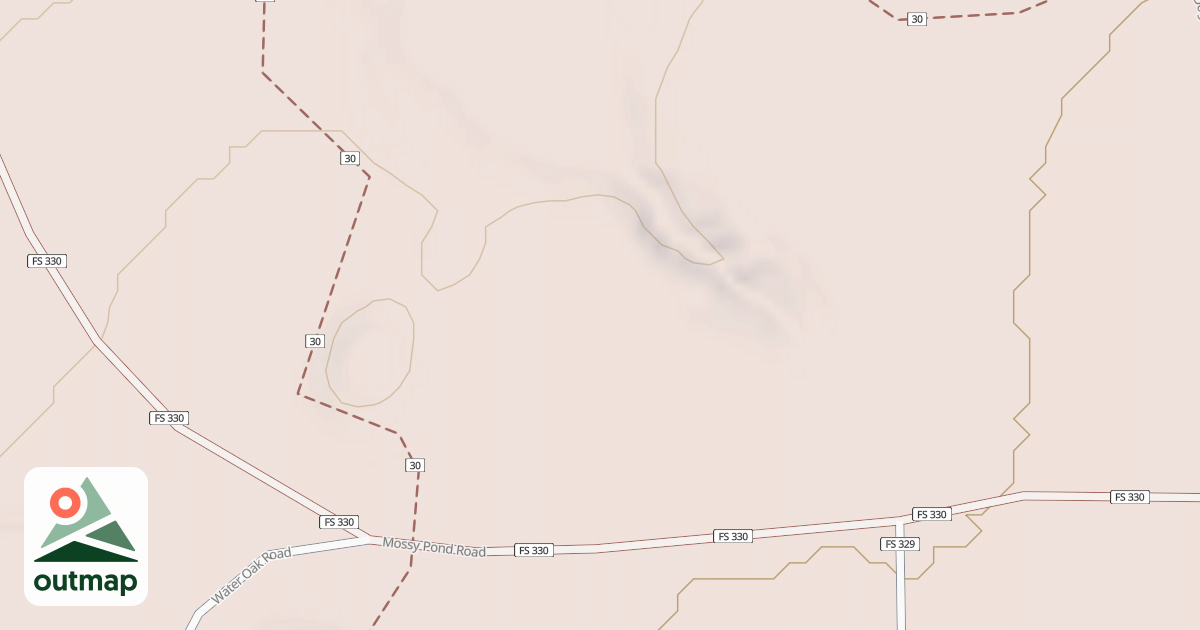 Map of MOSSY ROAD