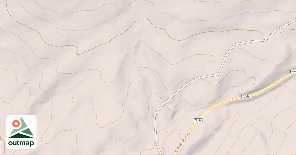 Map of USFS National Forest System Roads {337B93B1-D726-4675-9AFC-17CC146F2029}