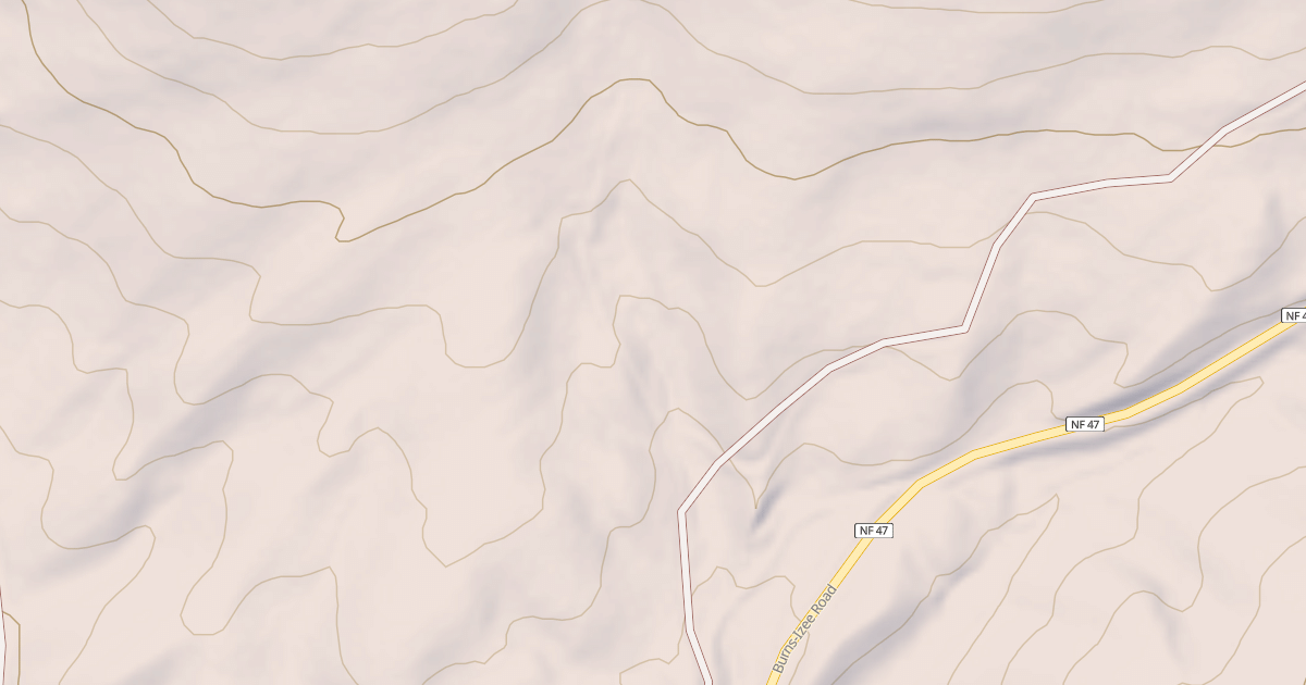 Map preview of USFS National Forest System Roads {337B93B1-D726-4675-9AFC-17CC146F2029}
