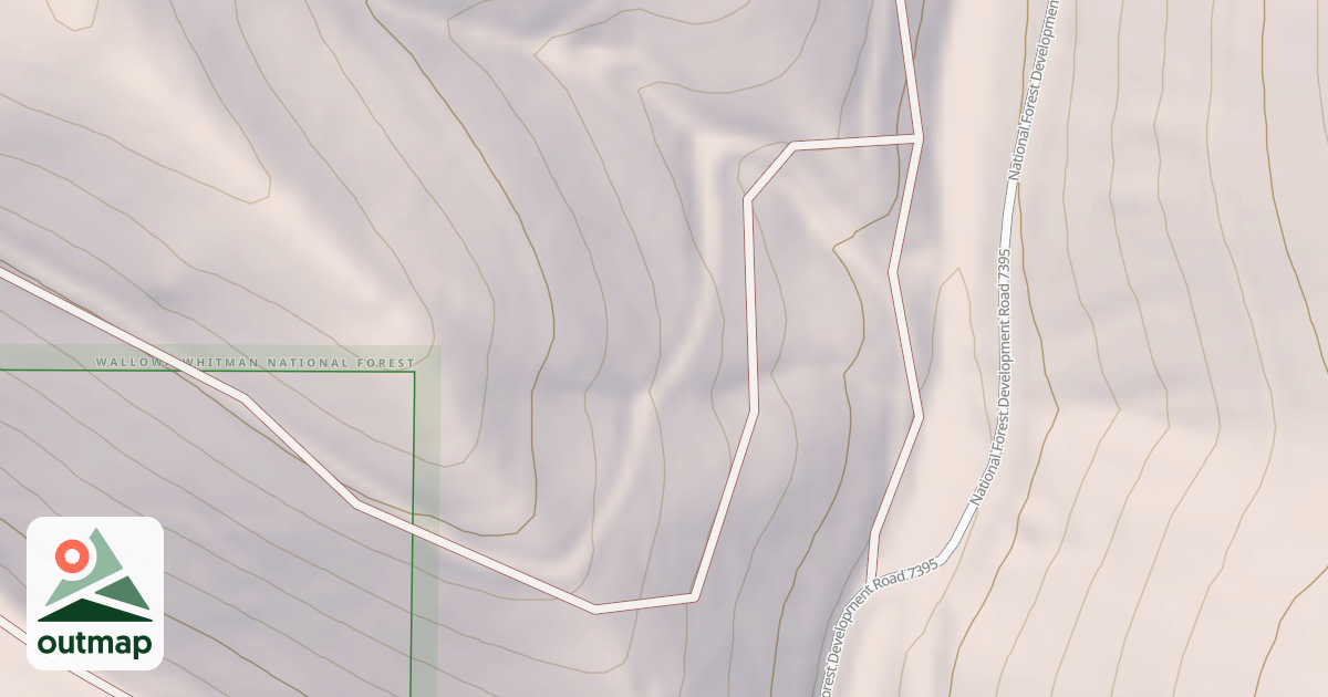 Map of USFS National Forest System Roads {95B49963-37F8-43D3-ABDE-DE8158190DDA}