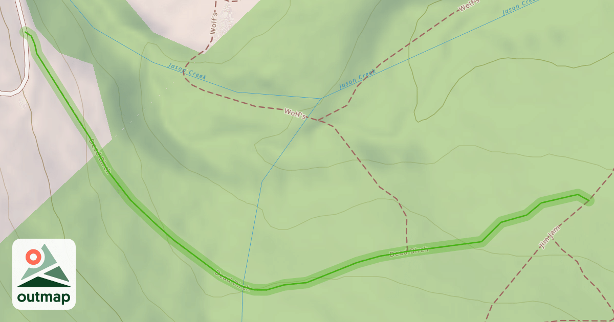 Map of Dead Birch