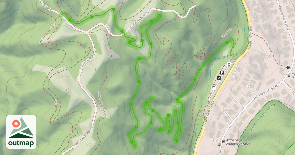 Map of Lazy Fern