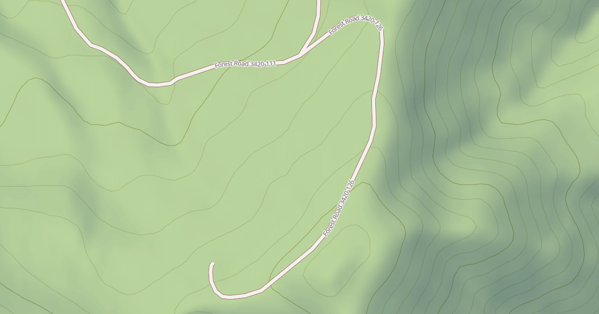 Map preview of USFS National Forest System Roads {2DAA0359-899C-4AC0-8E03-5E4C37A8CE95}