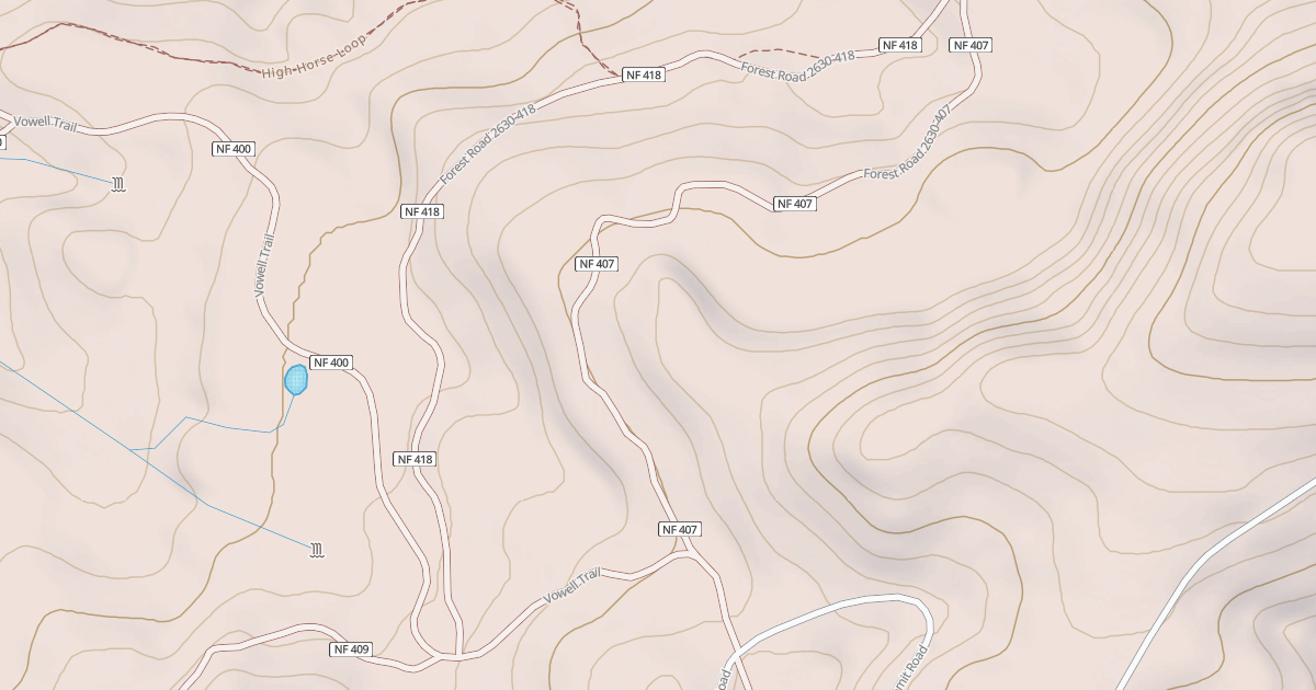 Map preview of USFS Motor Vehicle Use Map Roads {9A685809-0FF8-468F-A7D1-78347602E4A2}