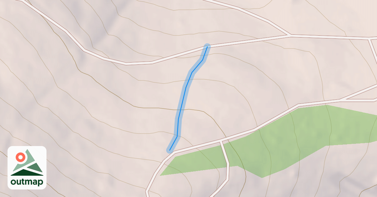 Map of Scout