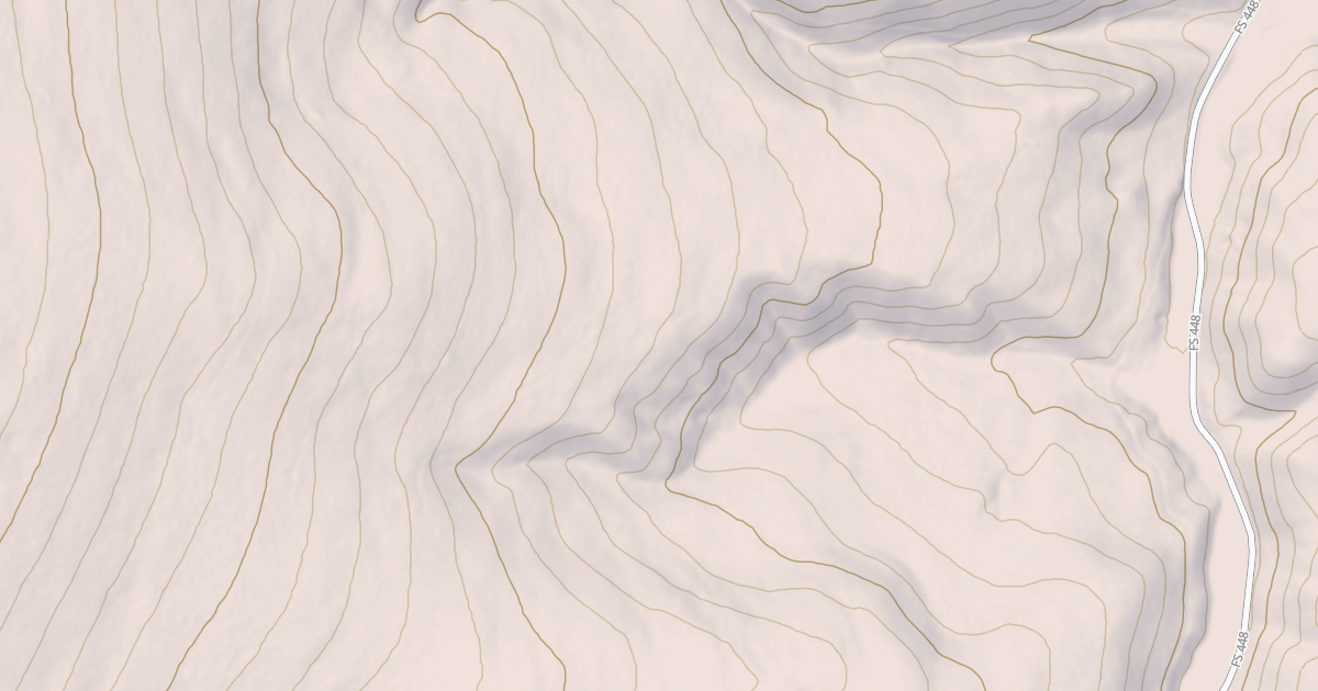 Map preview of USFS National Forest System Roads {0F335176-70A7-4C72-A9AA-A8BEAA527E02}