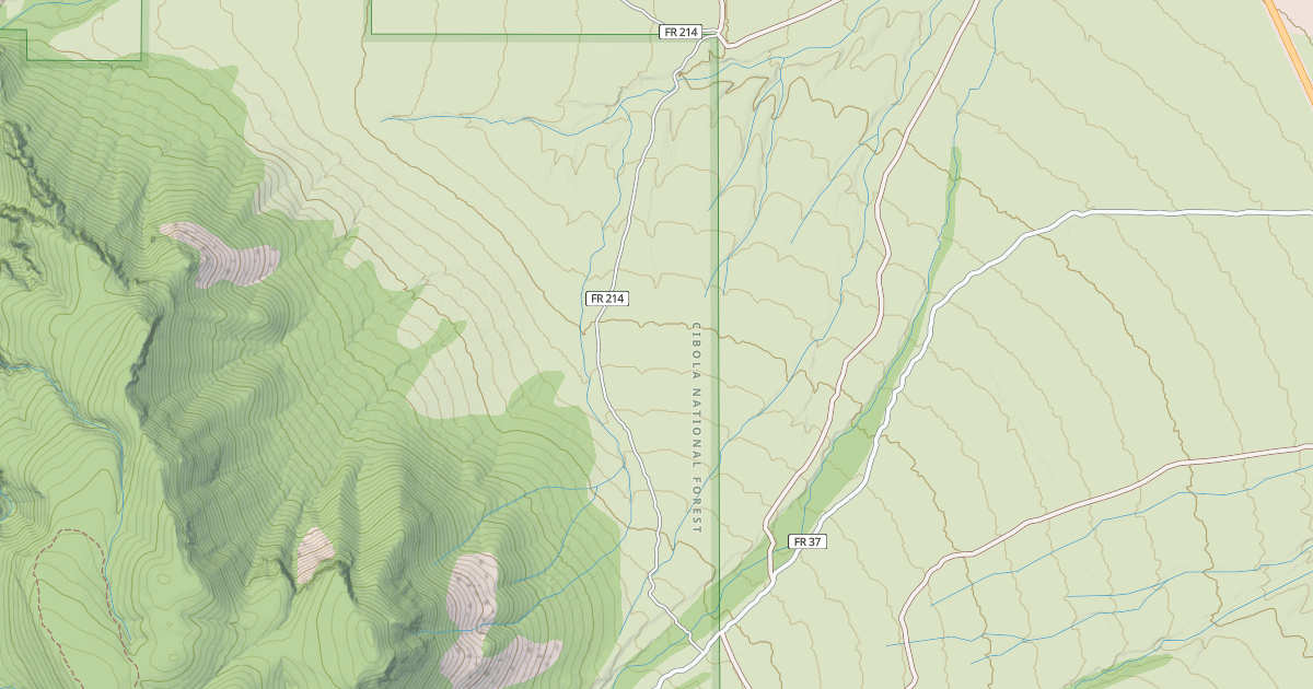 Map preview of USFS Motor Vehicle Use Map Roads {CDA19151-1625-4FFC-AEBA-84B1C2A5A62C}