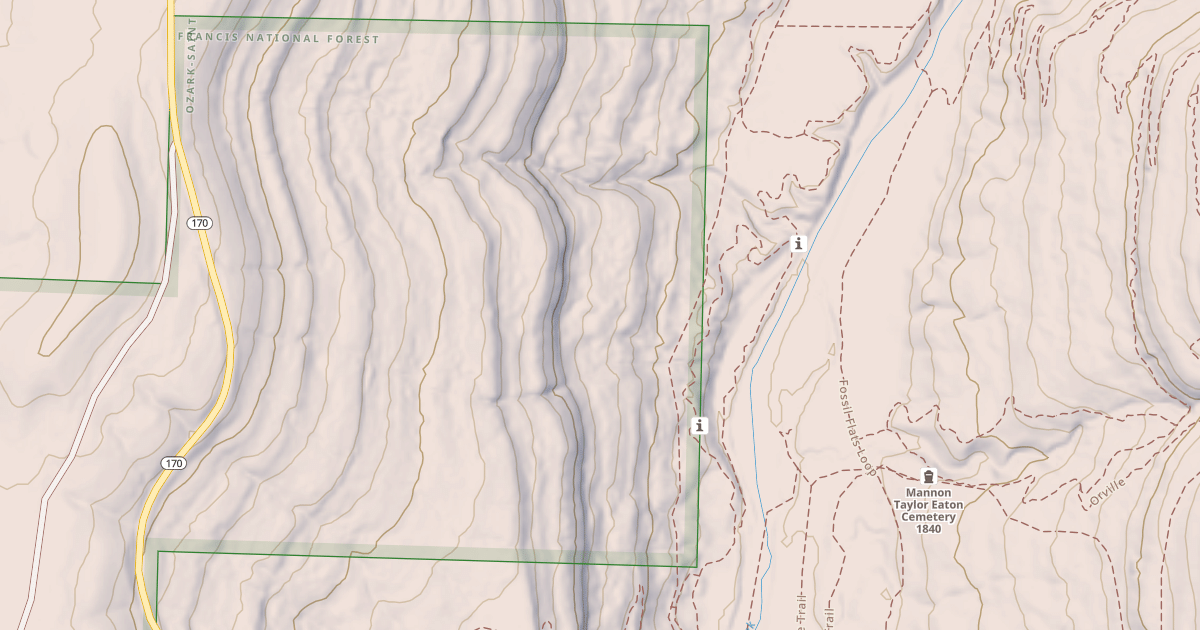 Map preview of USFS Motor Vehicle Use Map Roads {DE549EC7-011A-47A2-98B0-EFD0AB2BBD18}