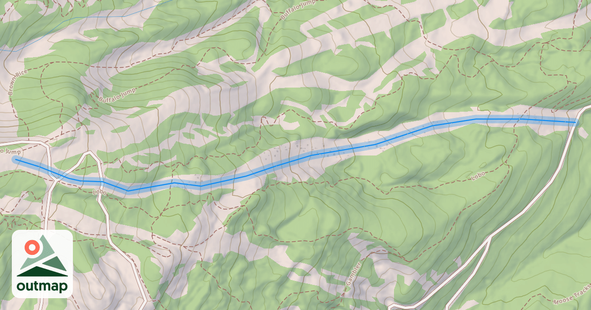 Map of Lobo