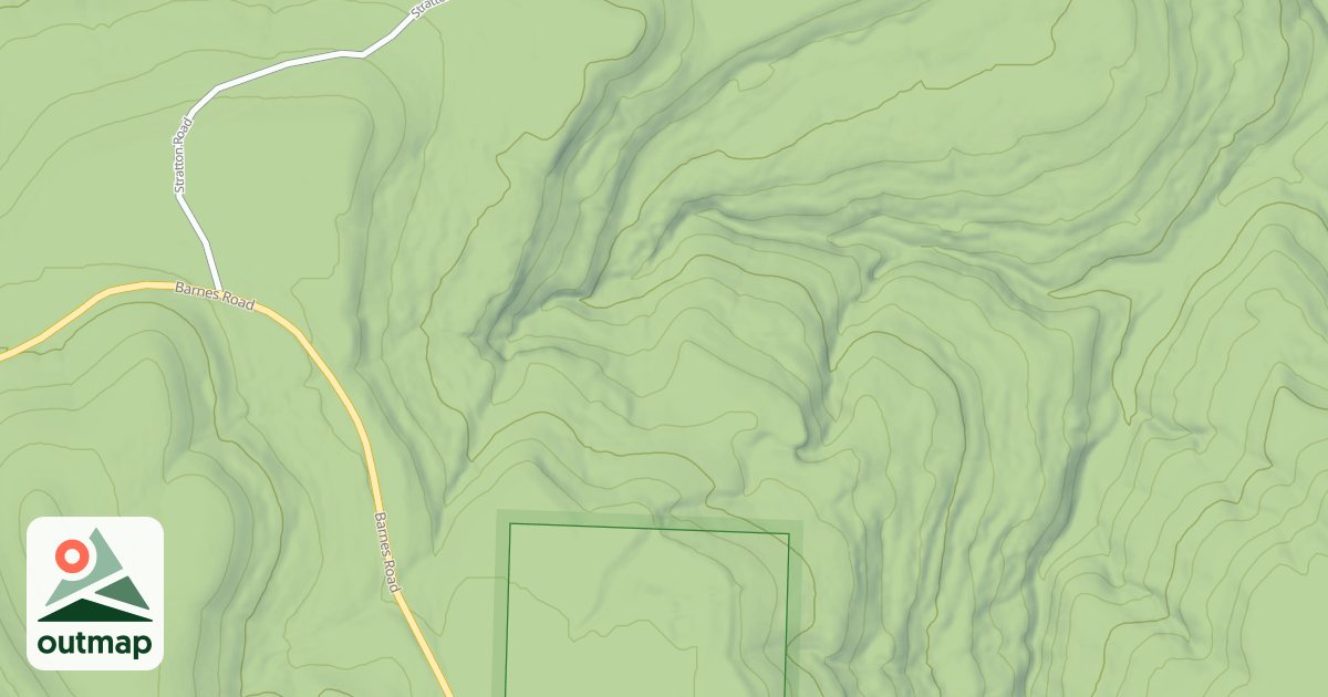 Map of USFS National Forest System Roads {D021AEA5-E8FB-403E-B638-24521DC1768C}