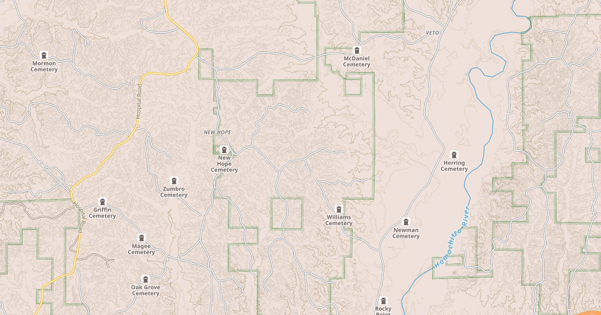 Map preview of USFS National Forest System Roads {8018142D-5357-4EBC-A22C-91D3558A985C}