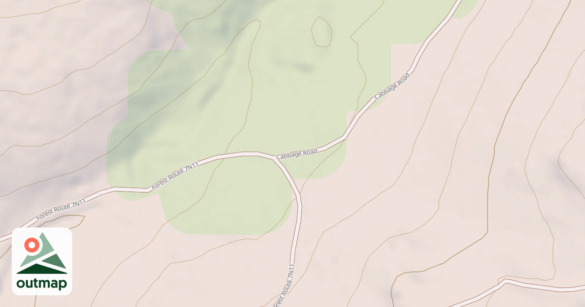 Map of USFS National Forest System Roads {031227A7-AB20-4C20-8D56-213418A7B13B}