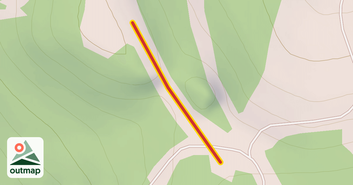 Map of Cord