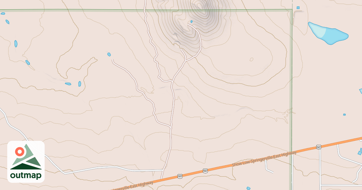Map of USFS National Forest System Roads {29AFC920-FF37-4906-B5B5-56C4B1DF68D0}