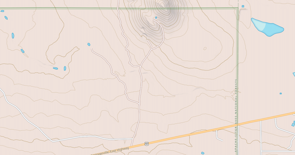 Map preview of USFS National Forest System Roads {29AFC920-FF37-4906-B5B5-56C4B1DF68D0}