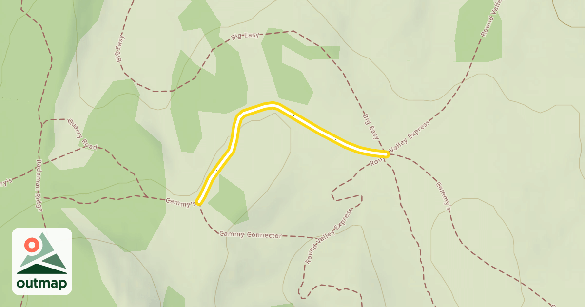 Map of Cammy's