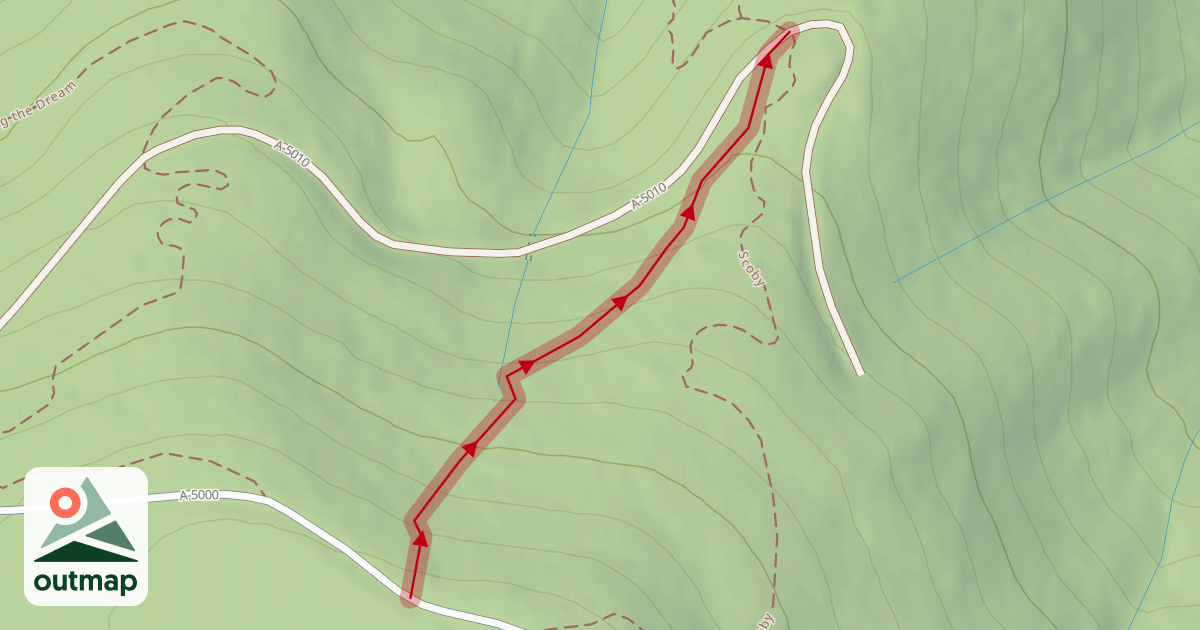 Map of Octagon (upper)