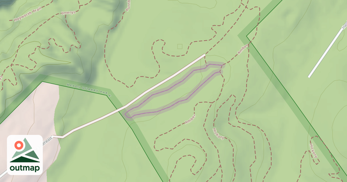 Map of Amber Optional Loop