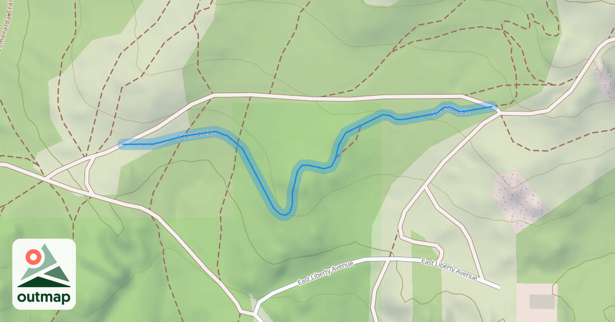 Map of Scared Cat