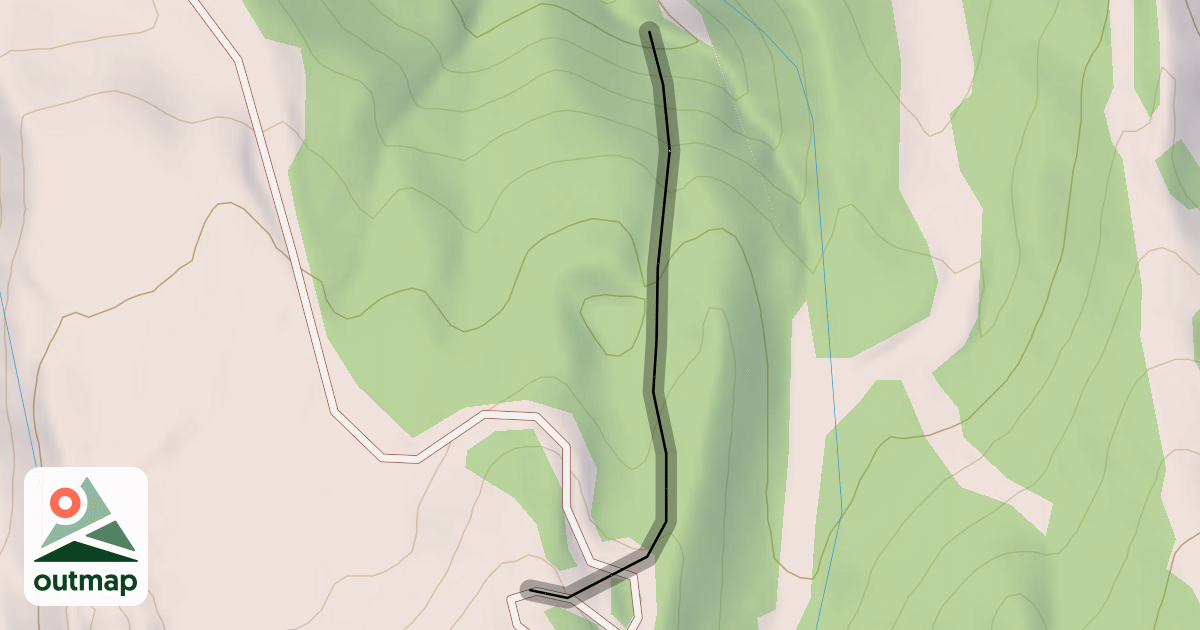 Map of Old Faithful