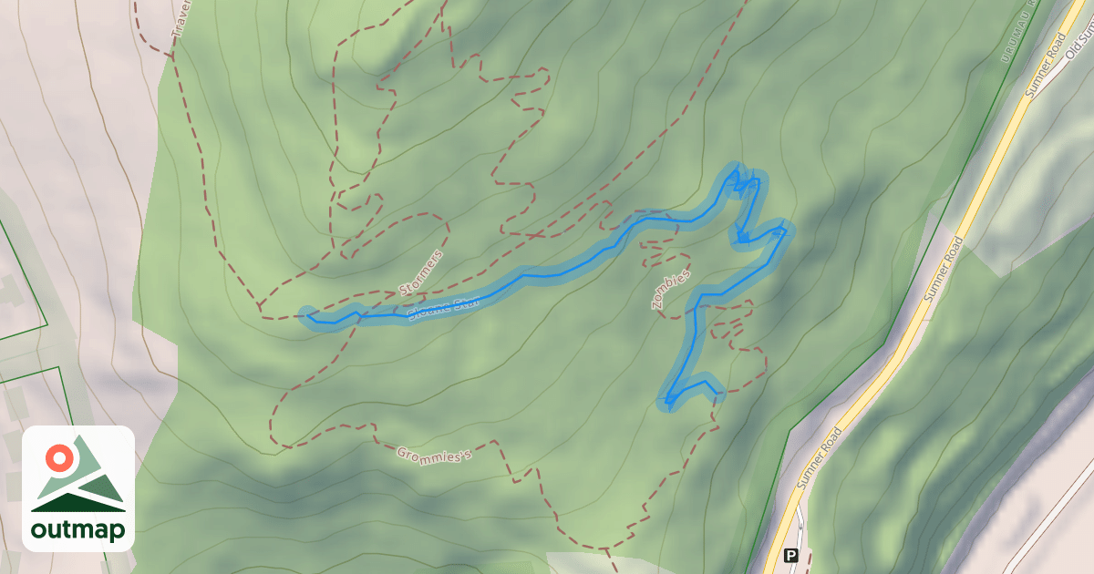 Map of Sloane Star