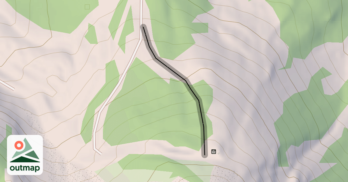 Map of Patrol Trees
