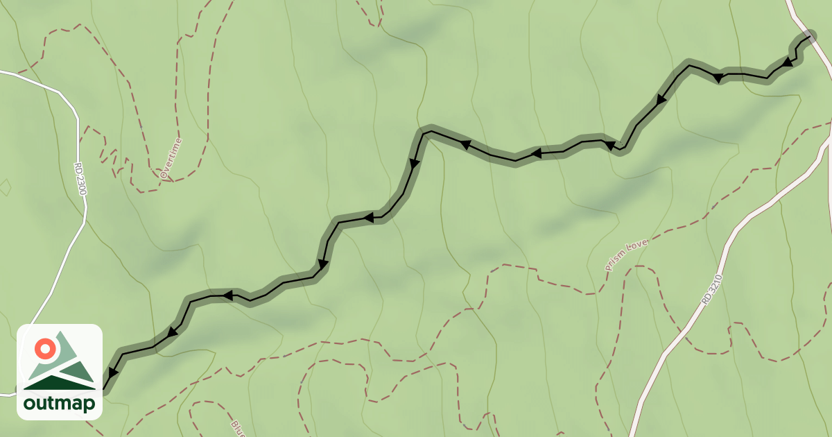 Map of Irish Death