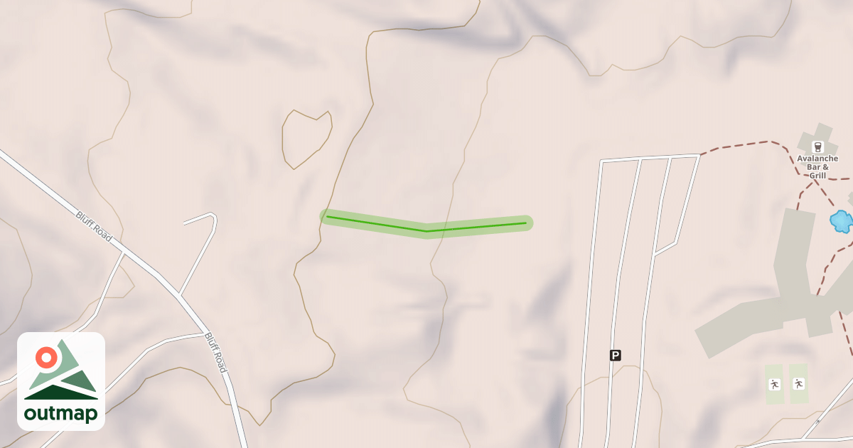 Map of Pete's Dragon II