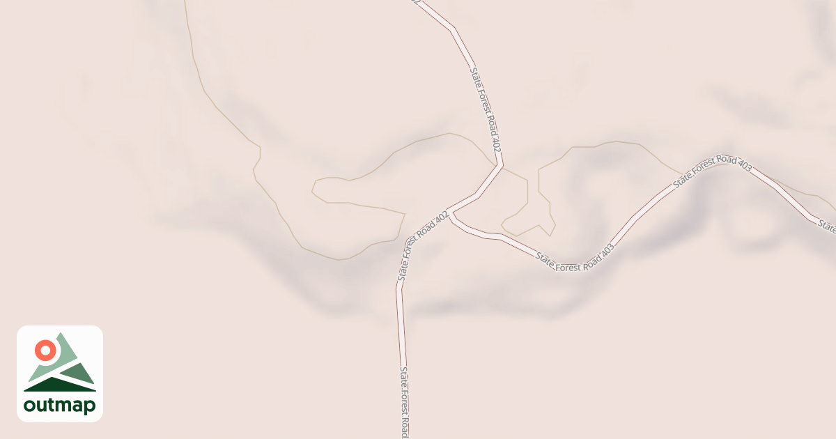 Map of Forest Riders Trails